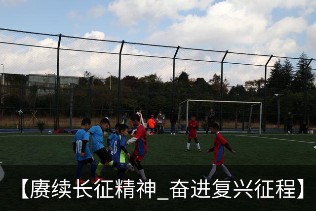 【赓续长征精神 奋进复兴征程】红色沃土长出更多富民产业